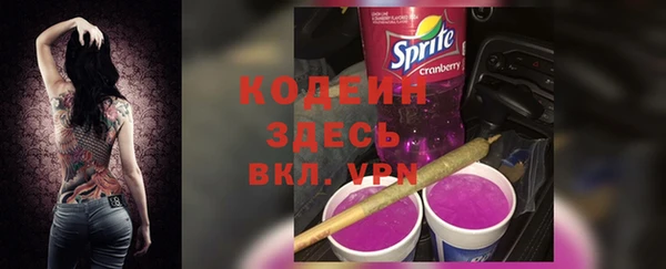 индика Абинск
