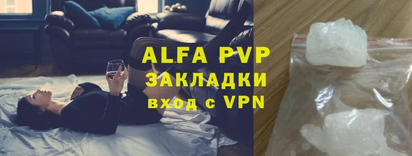 индика Абинск