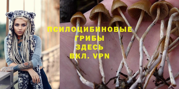 индика Абинск