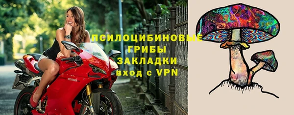 индика Абинск