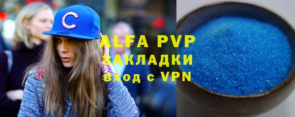 индика Абинск