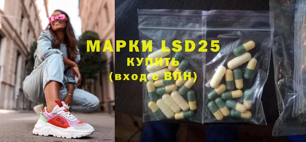 индика Абинск