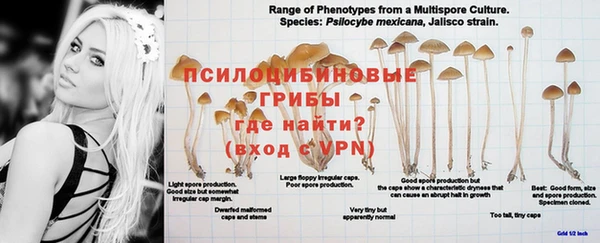 индика Абинск