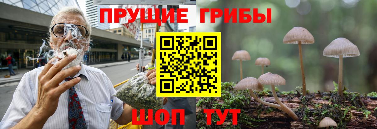 Псилоцибиновые грибы MAGIC MUSHROOMS Иваново